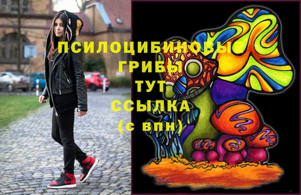 ПСИЛОЦИБИНОВЫЕ ГРИБЫ Армянск