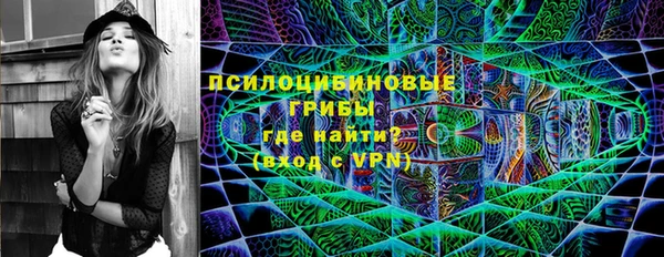 ПСИЛОЦИБИНОВЫЕ ГРИБЫ Армянск