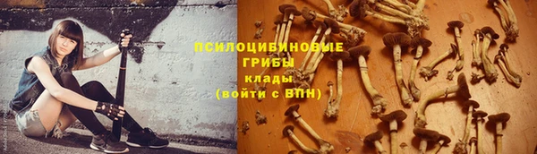 эйфоретик Аркадак