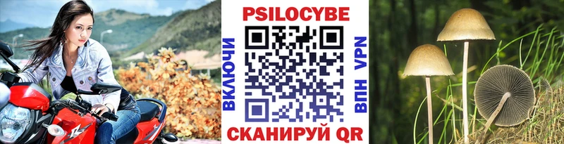 Псилоцибиновые грибы Psilocybine cubensis  Менделеевск 