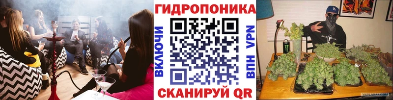 Каннабис VHQ  закладки  Менделеевск 